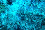 DSC02162.jpg